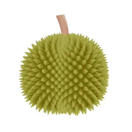 Durian  3D Icon