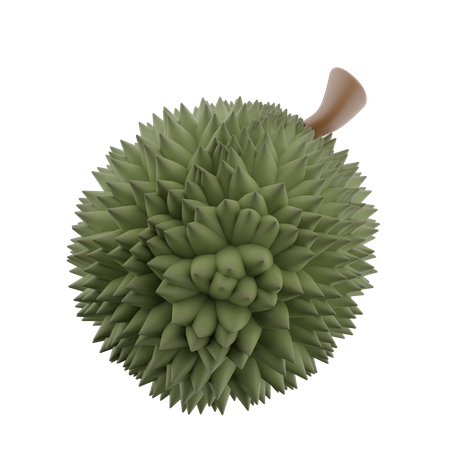 Durian  3D Icon