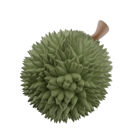 Durian  3D Icon