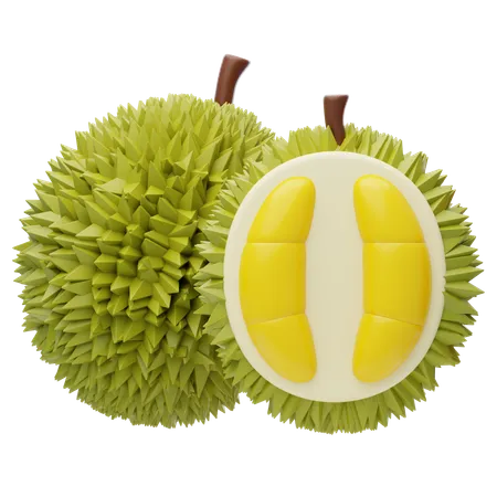 Durian  3D Icon