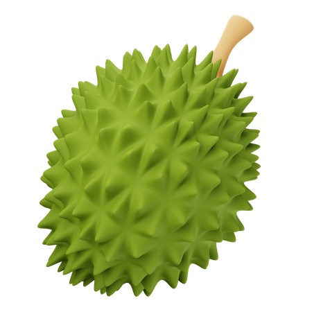 Durian  3D Icon