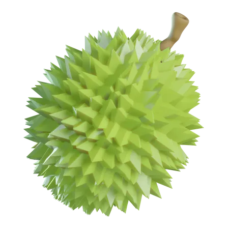 Durian  3D Icon