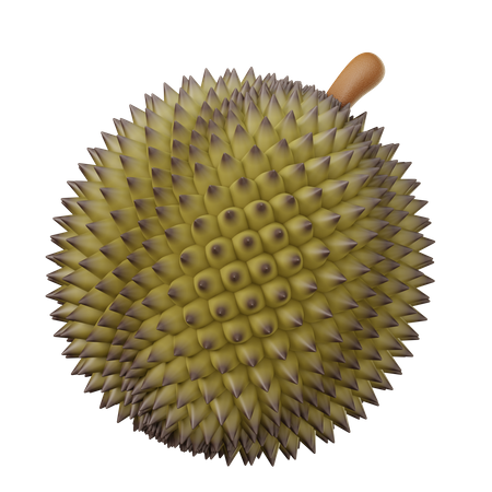 Durian  3D Icon