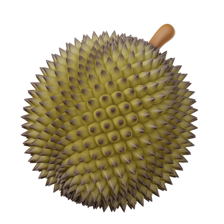 Durian  3D Illustration