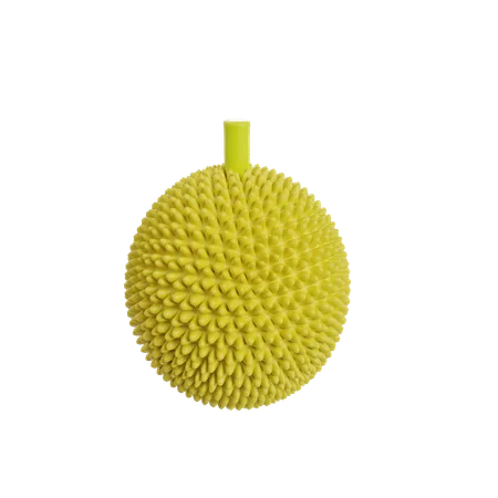 Durian  3D Illustration