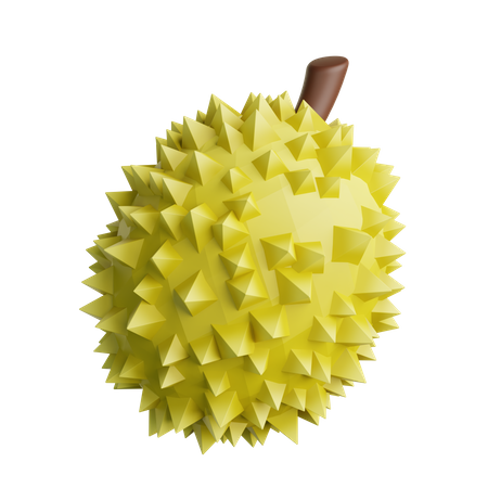 Durian  3D Illustration