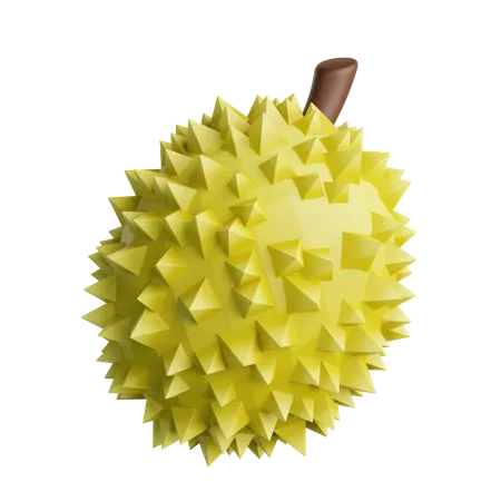 Durian  3D Illustration