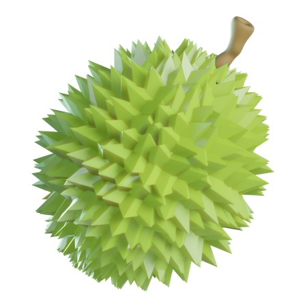 Durian 3D Illustration