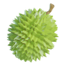 3d durian illustration