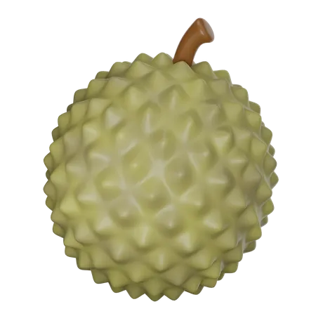 Durian 3 D Illustration 3D Icon