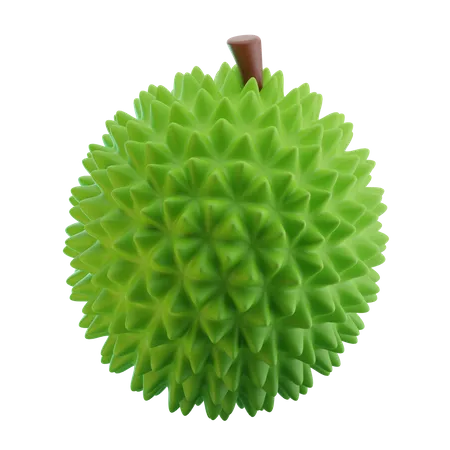 Durian Fruit 3 D Illustration 3D Icon
