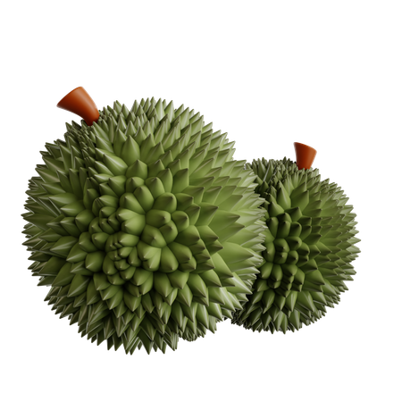 Durian Frucht  3D Icon