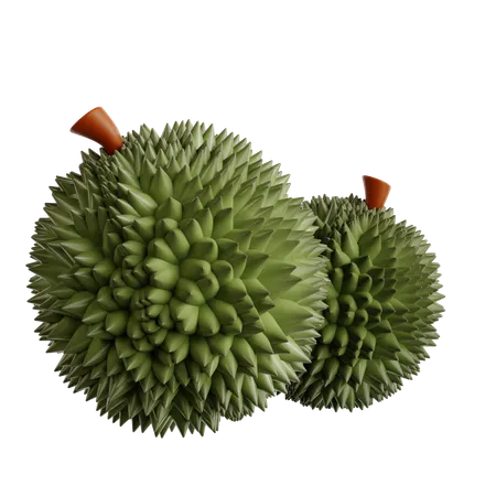 Durian Frucht  3D Icon