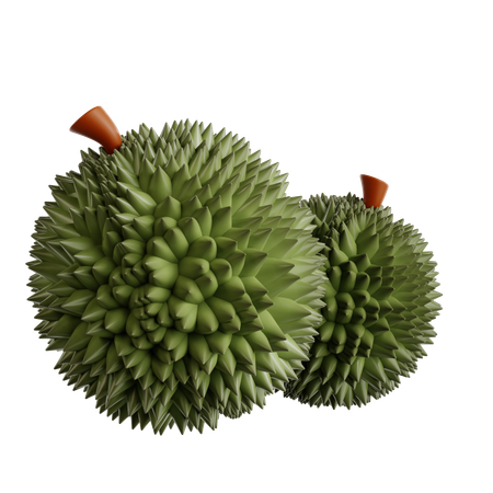 Fruta Durian  3D Icon