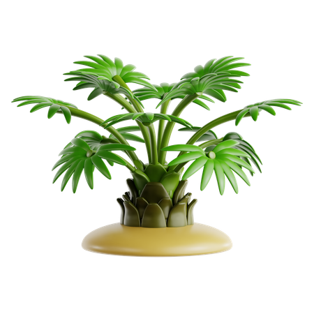 Dwarf Palmetto  3D Icon