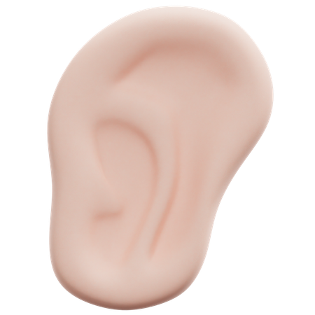Ear  3D Icon