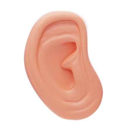 Ear  3D Icon