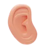 Ear