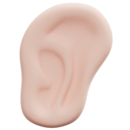Ear  3D Icon