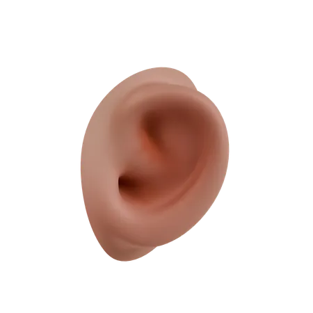 Ear  3D Icon