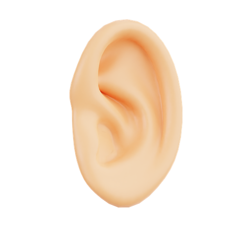 Ear  3D Icon