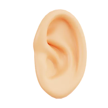 Ear  3D Icon