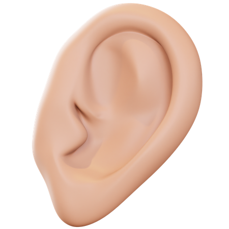 Ear  3D Icon