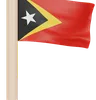 East Timor Flag