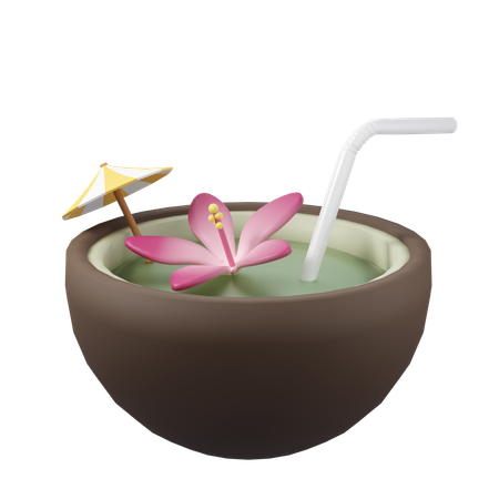 L'eau de noix de coco  3D Icon