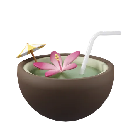 L'eau de noix de coco  3D Icon