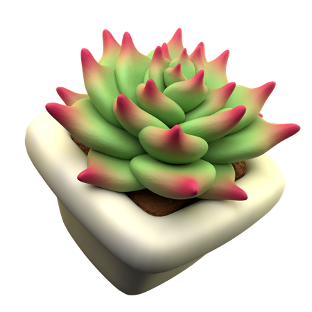 Echeveria agavoides  3D Icon