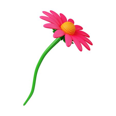 Echinacea Flower  3D Icon