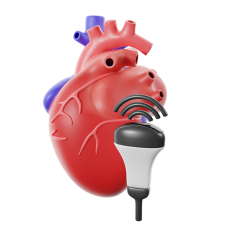 Medizinische Untersuchung mit Echokardiogramm  3D Icon