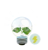 Eco Bulb