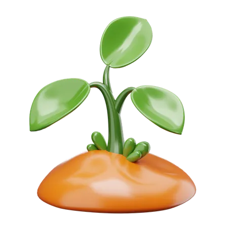 Eco Plant  3D Icon