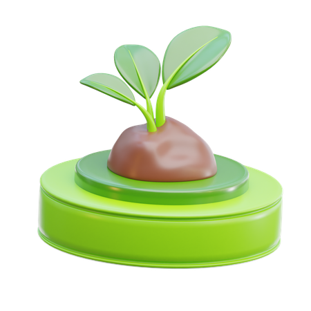 Eco Plant  3D Icon