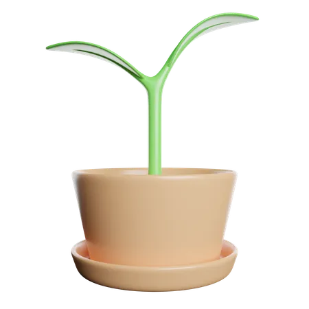 Eco Plant  3D Icon