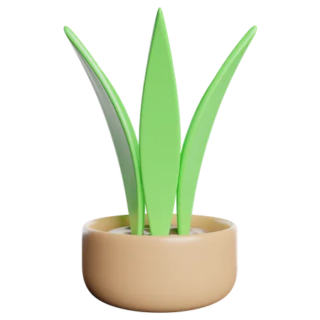 Eco Plant  3D Icon