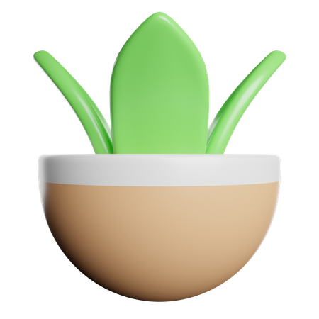 Eco Plant  3D Icon