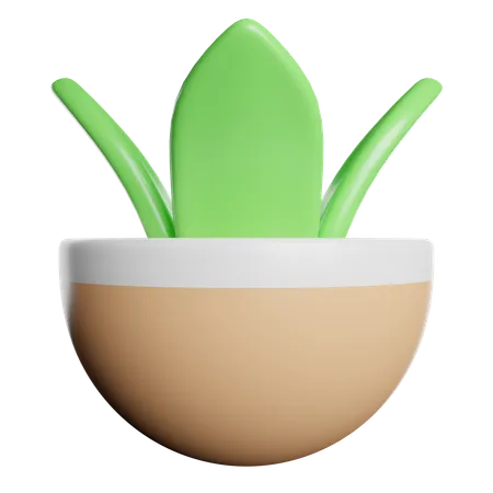 Eco Plant  3D Icon