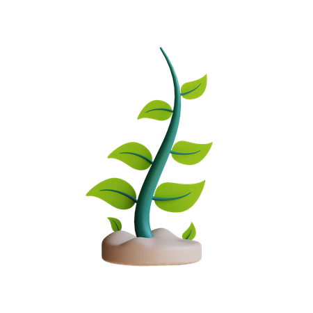 Eco Plant 3D Illustration