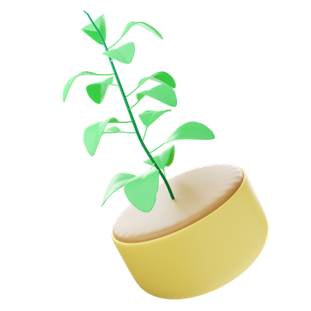 Eco Plant 3D Icon