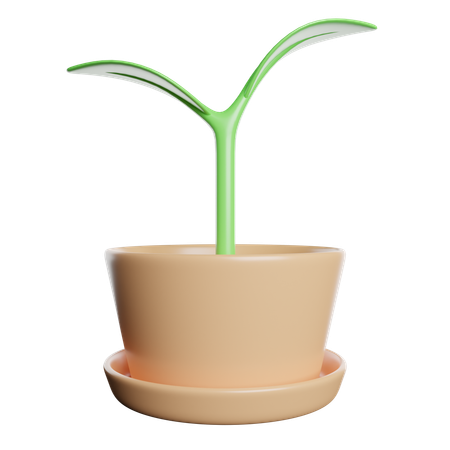 Planta ecológica  3D Icon