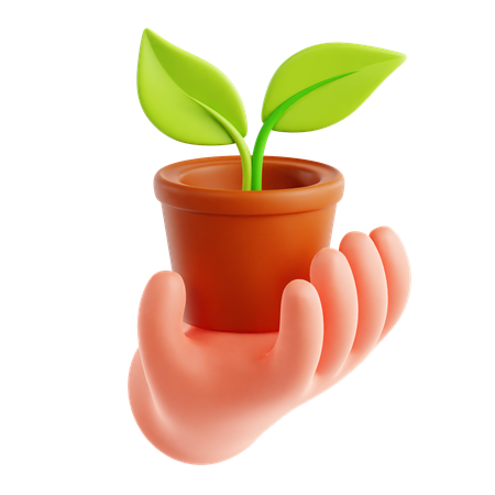 Planta ecológica disponível  3D Icon