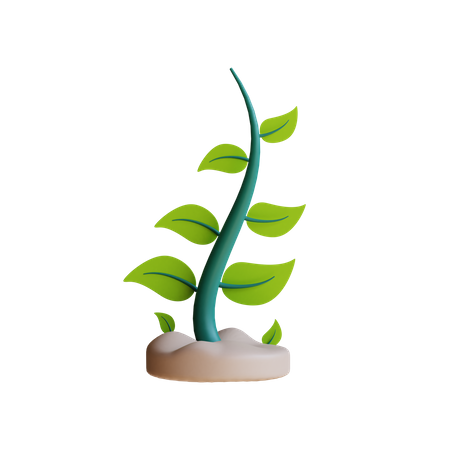 Plante écologique  3D Illustration