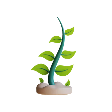 Plante écologique  3D Illustration