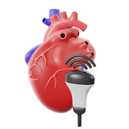 Prueba médica de ecocardiograma  3D Icon