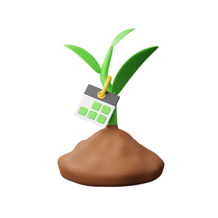 Edad de la planta  3D Icon