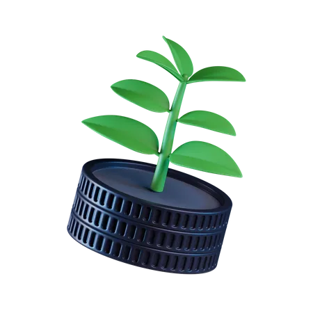 Education Plant  3D Icon