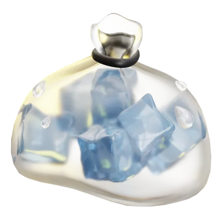 Eisbeutel  3D Icon